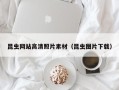 兴化昆虫网站高清照片素材（昆虫图片下载）